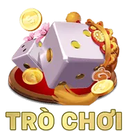 Biểu tượng Chính Sách Quyền Riêng Tư